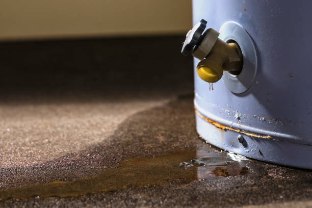 Reliable Vernon Valley, NJ Water damage restoration Solutions
