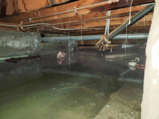Best Water damage cleanup near me  in Vernon Valley, NJ