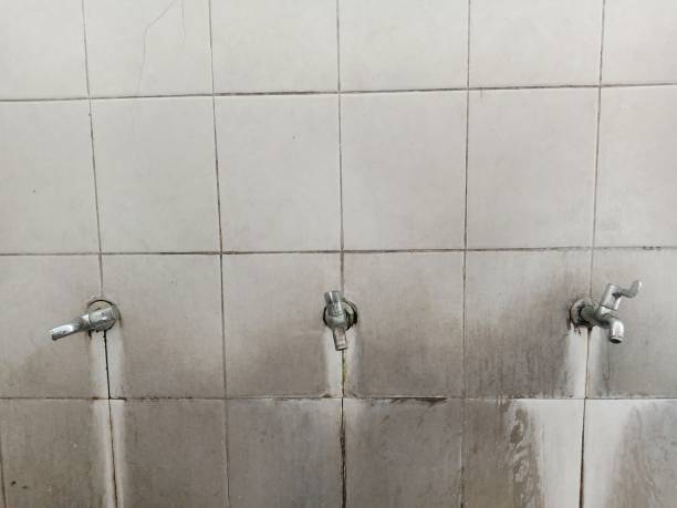 Best Water damage contractors near me  in Vernon Valley, NJ