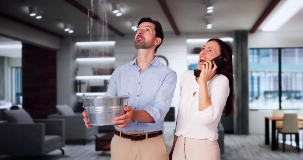 Best Fire Damage Restoration  in Vernon Valley, NJ