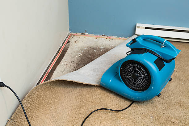 Best Commercial water damage restoration  in Vernon Valley, NJ