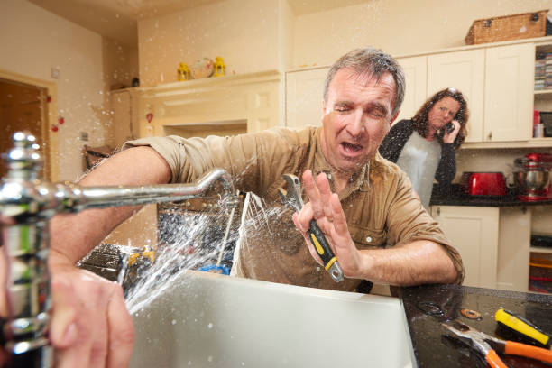 Best Professional water damage repair  in Vernon Valley, NJ